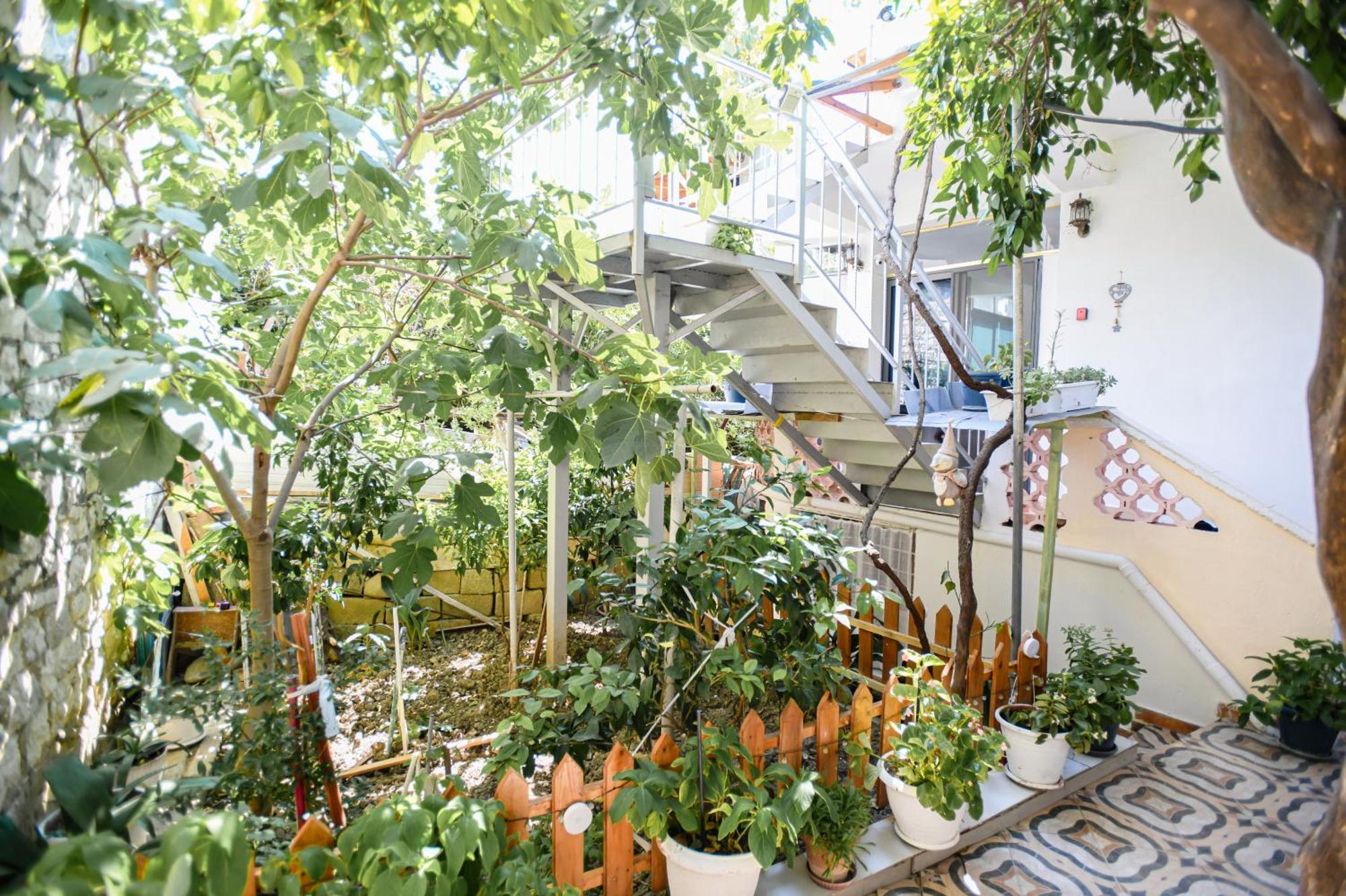 Guest House Flowers 베라트 외부 사진